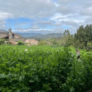 CASA EN VENTA URB. EL SERRAT DE CASTELLNOU